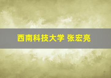 西南科技大学 张宏亮